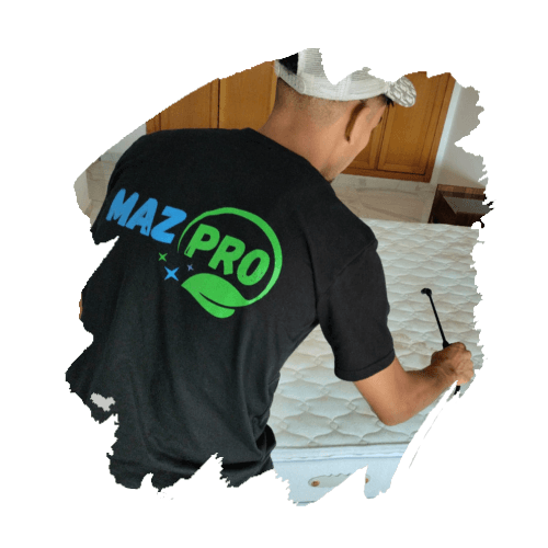MazPro hero